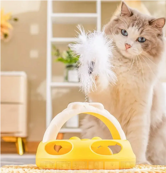 Cat interactive toys
