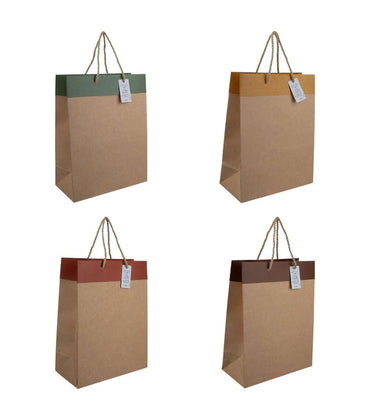 Simple Kraft Paper Bag, Assorted (1 pc)